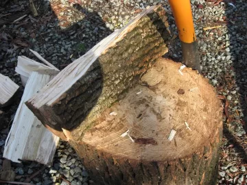 [Hearth.com] Is this Ash?  Never had any before.