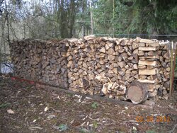My Supply of Firewood with PICS
