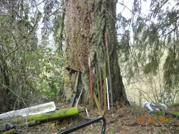 [Hearth.com] My Supply of Firewood with PICS