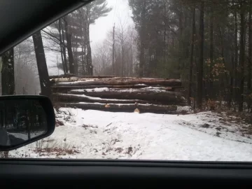 [Hearth.com] A Snowless Winter Is Good For One Thing...