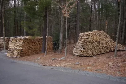 [Hearth.com] A Snowless Winter Is Good For One Thing...