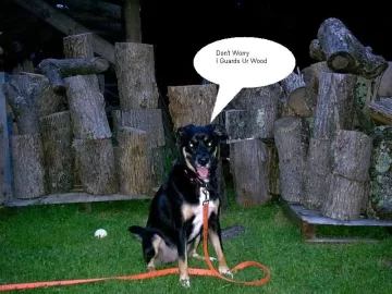 [Hearth.com] Dog pics. Overdone I know but I love dogs, especially Rottweilers. Letâ€™s see â€™em