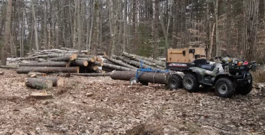 [Hearth.com] The wood shed is getting empty...