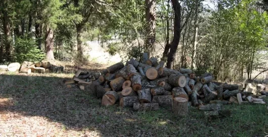 [Hearth.com] Can't wait !  Annual Hyd Splitter day is tomorrow and I got piles.(of splits now)