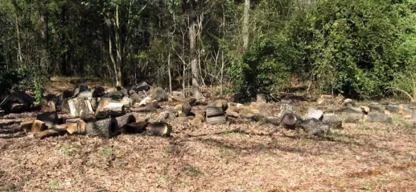 [Hearth.com] Can't wait !  Annual Hyd Splitter day is tomorrow and I got piles.(of splits now)