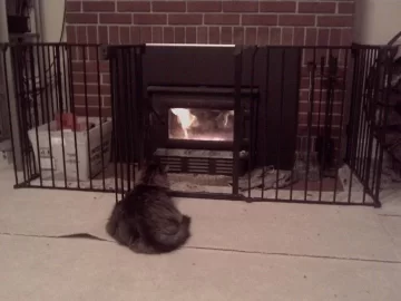 [Hearth.com] Pet Hair and insert blower