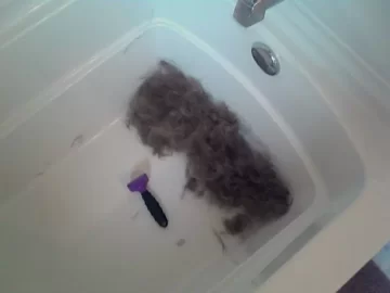 [Hearth.com] Pet Hair and insert blower