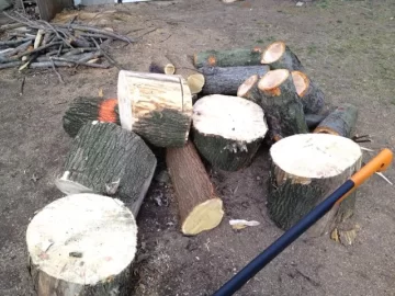 [Hearth.com] Heard the saw running (cont.)...