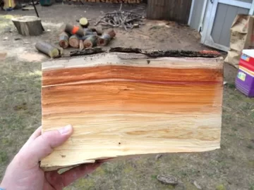[Hearth.com] Heard the saw running (cont.)...