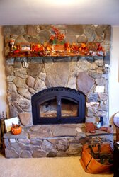 Stone or marble mantels that look right with wood burning insert?