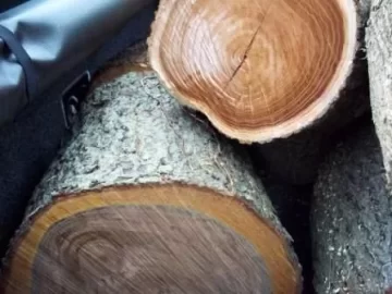 [Hearth.com] Scrounge wood ID