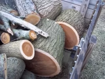 [Hearth.com] Scrounge wood ID