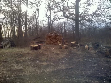 [Hearth.com] Holz Hausen