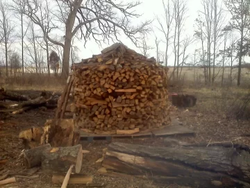 [Hearth.com] Holz Hausen