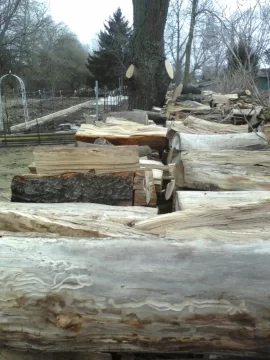 [Hearth.com] 70% Ash, 20% Elm and 10% Oak, split