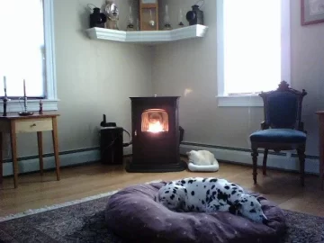 [Hearth.com] Harman Advance with Puppy