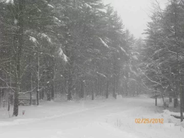 [Hearth.com] Wet Heavy Snow
