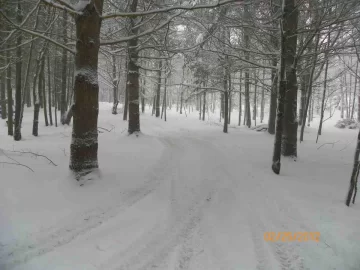 [Hearth.com] Wet Heavy Snow