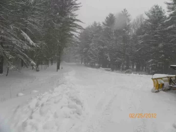 [Hearth.com] Wet Heavy Snow