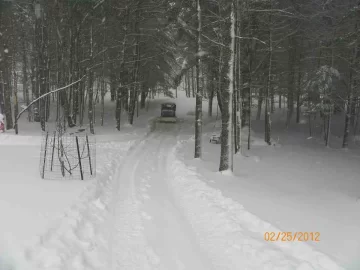 [Hearth.com] Wet Heavy Snow