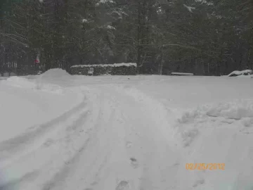 [Hearth.com] Wet Heavy Snow
