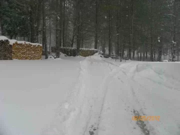 [Hearth.com] Wet Heavy Snow