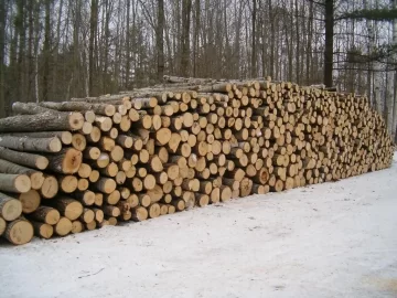 [Hearth.com] They say what doesn't kill you will make you stronger ...?