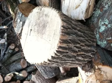 [Hearth.com] Newbie wood IDs please?