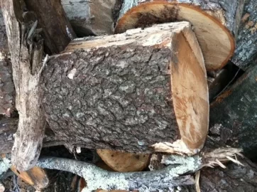 [Hearth.com] Newbie wood IDs please?
