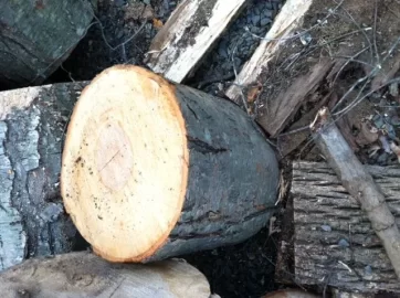 [Hearth.com] Newbie wood IDs please?
