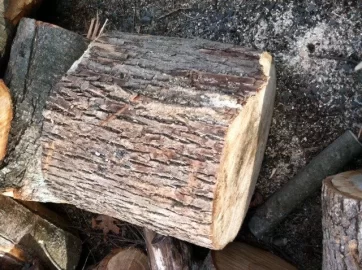 [Hearth.com] Newbie wood IDs please?