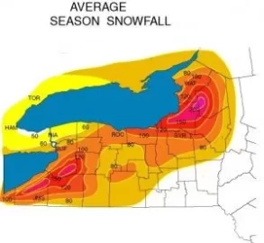 [Hearth.com] Syracuse, NY?