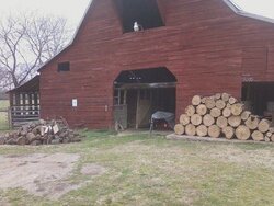 wood cutting and wood id ?