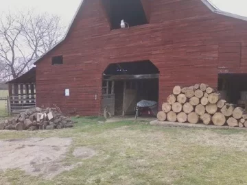 [Hearth.com] wood cutting and wood id ?