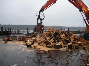 [Hearth.com] Port McNeill Grad  Wood Cut