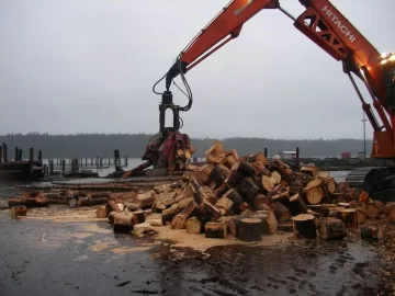 [Hearth.com] Port McNeill Grad  Wood Cut