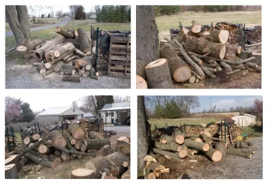 [Hearth.com] Wood score for me