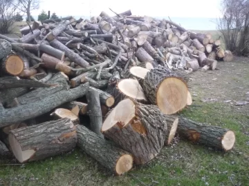 [Hearth.com] SCORE!  Man am I tired...lol