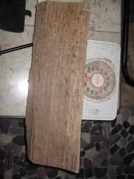 [Hearth.com] The end of the monstrous burn.