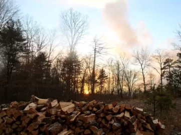 [Hearth.com] Exercise
