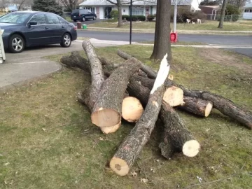 [Hearth.com] Tree Service Scrounge