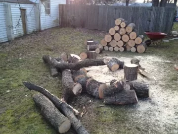 [Hearth.com] Tree Service Scrounge