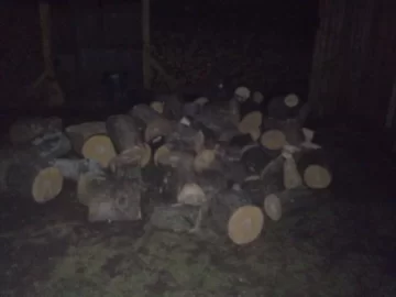 [Hearth.com] Tree Service Scrounge