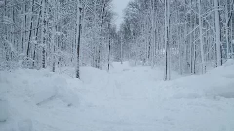 [Hearth.com] Northern Michigan Snow Storm