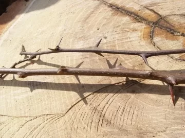 [Hearth.com] Ouch! These are really sharp!