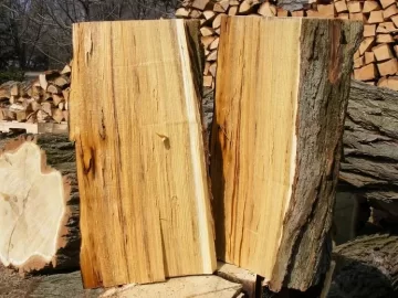 [Hearth.com] Ouch! These are really sharp!