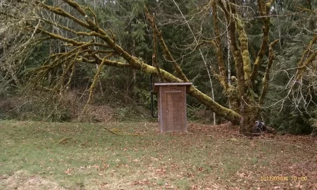 [Hearth.com] Dang tree fell on my ashaus