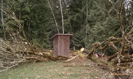 [Hearth.com] Dang tree fell on my ashaus