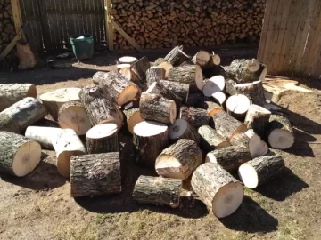 [Hearth.com] Tree Service Scrounge