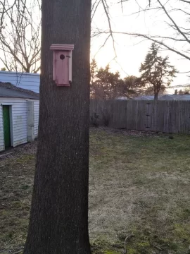 [Hearth.com] Pin Oak Birdhouse
